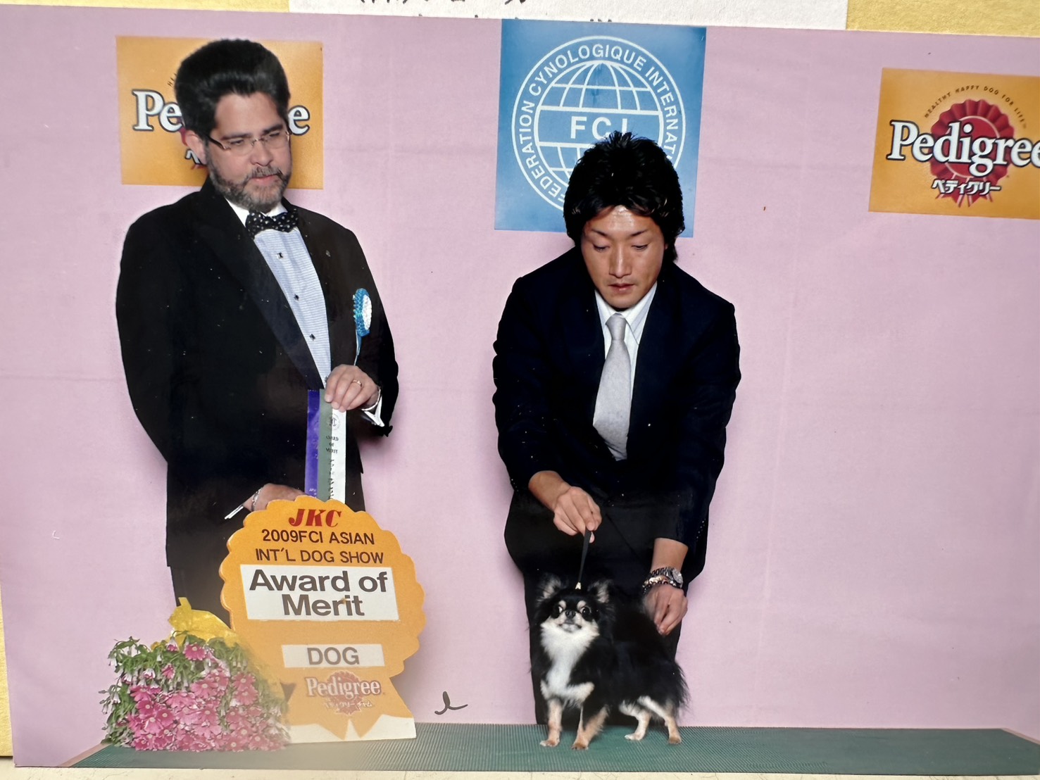 ショー会場でのスター犬