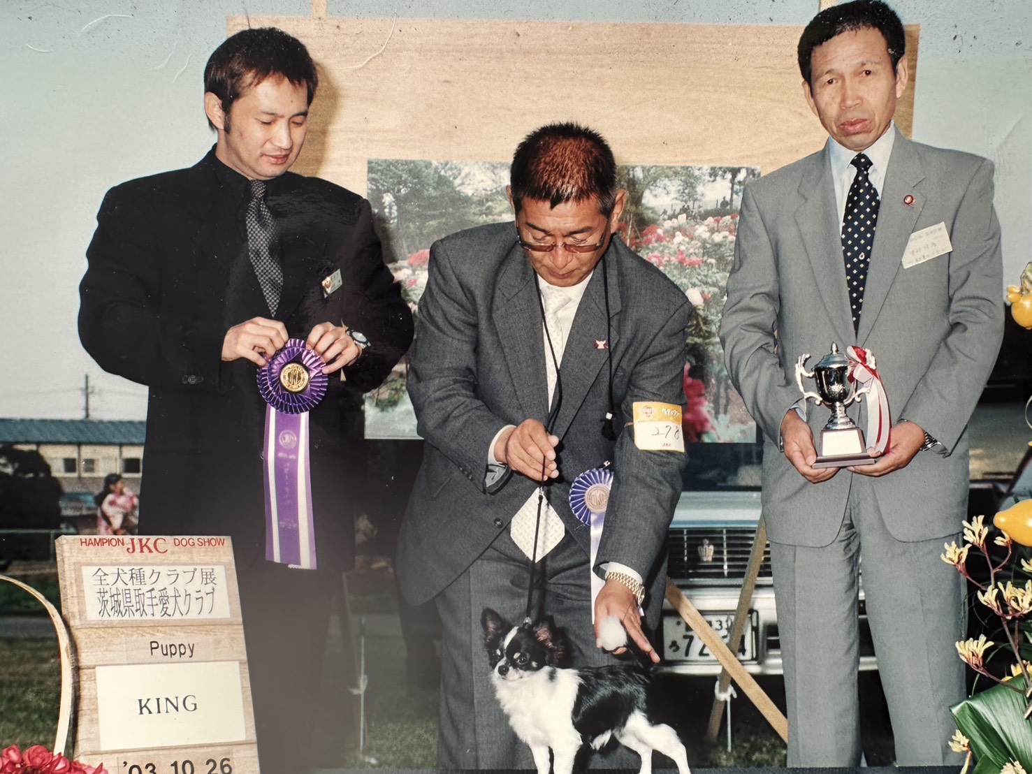DreamVegaチャンピオン犬の受賞歴