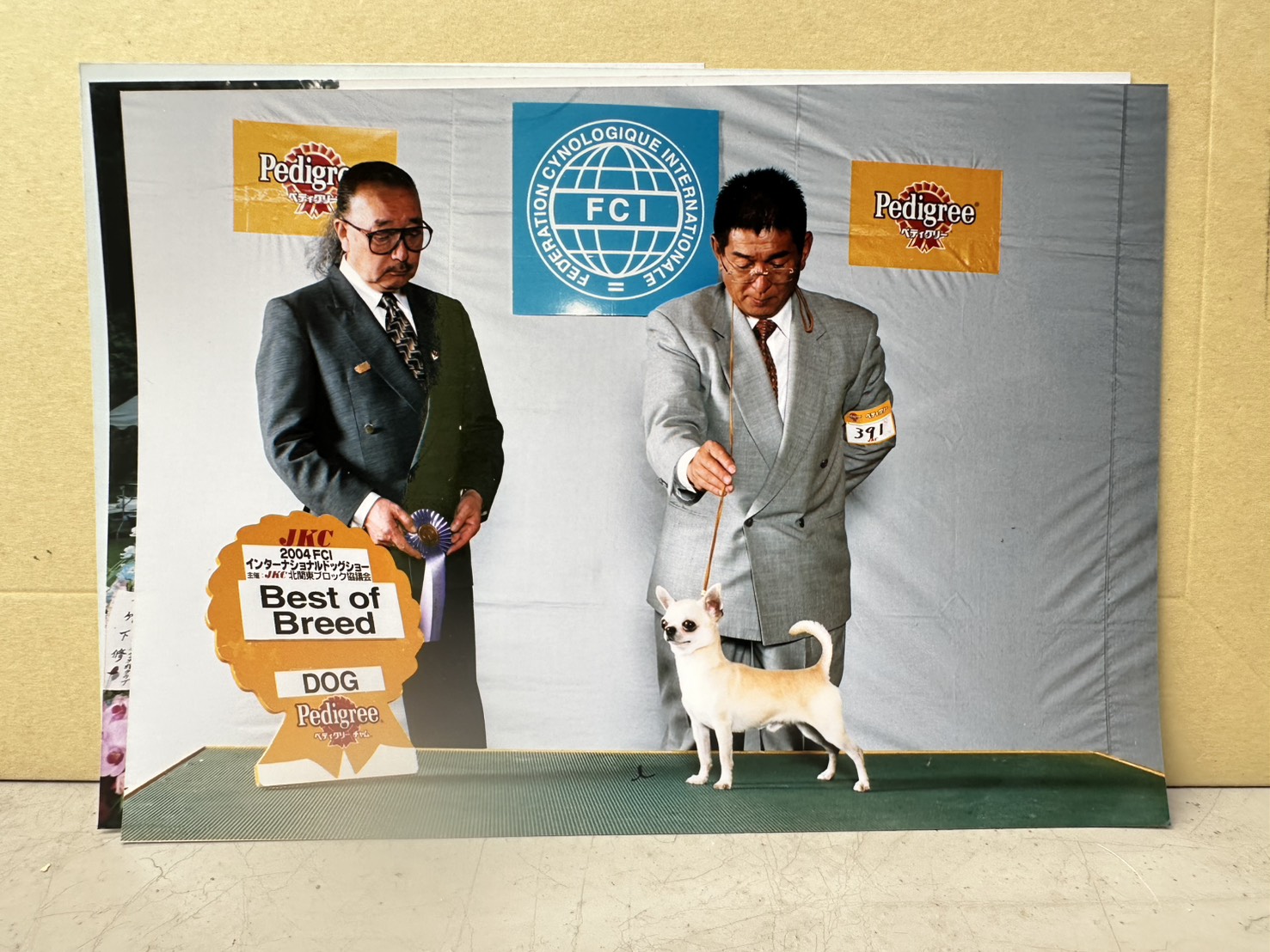 ショー会場でのチャンピオン犬