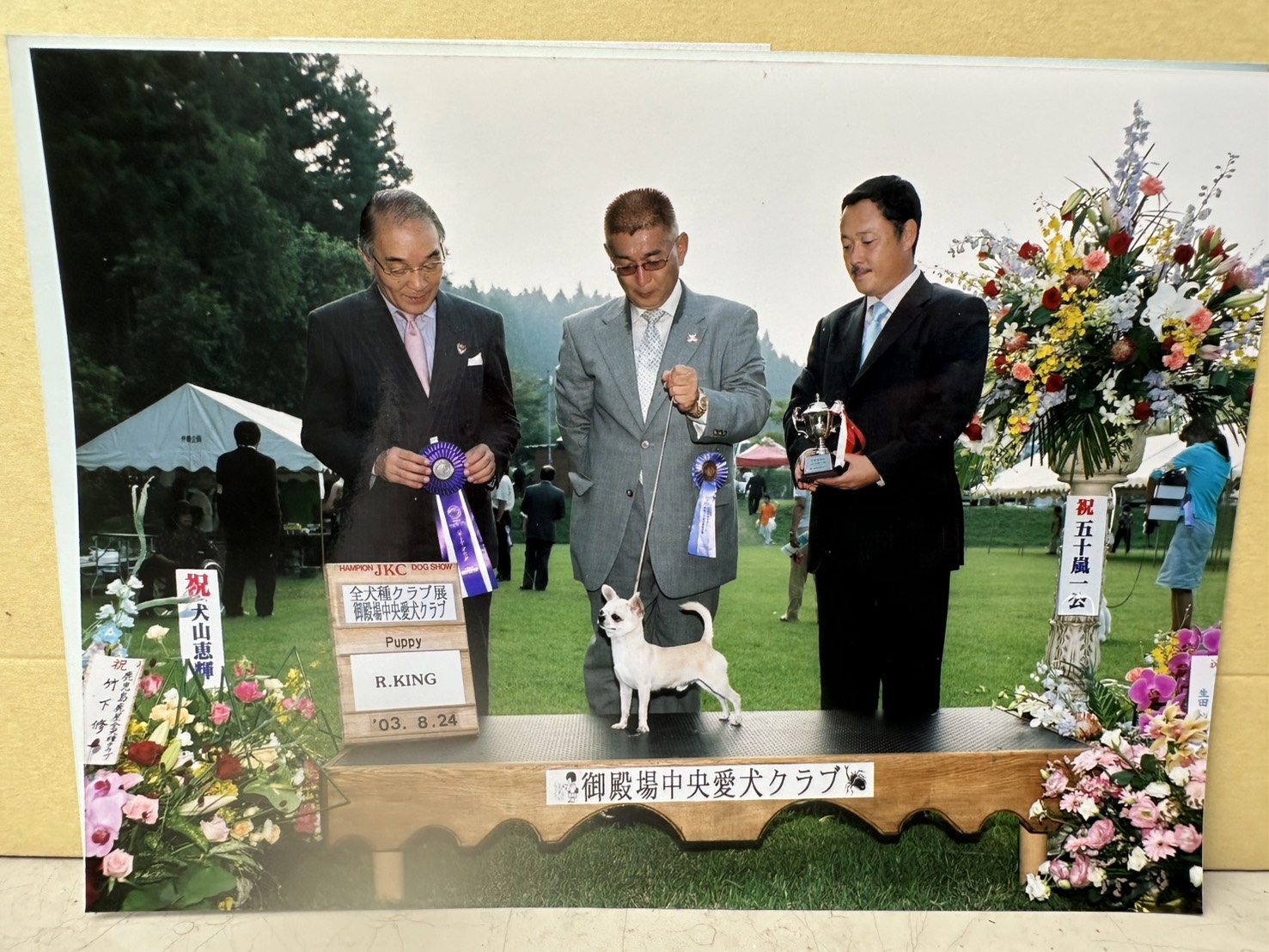 受賞犬の紹介写真