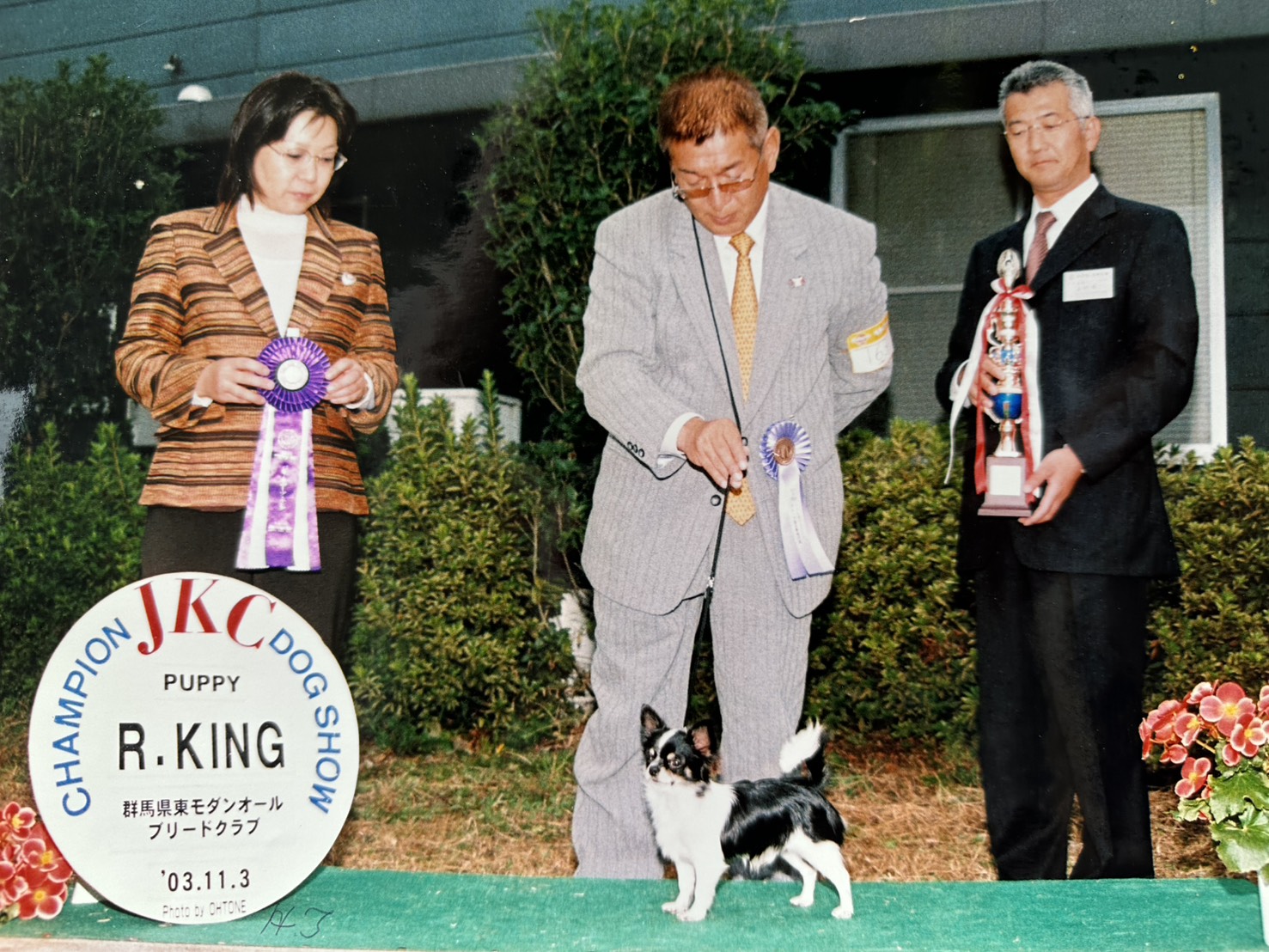 チャンピオン犬のショー写真