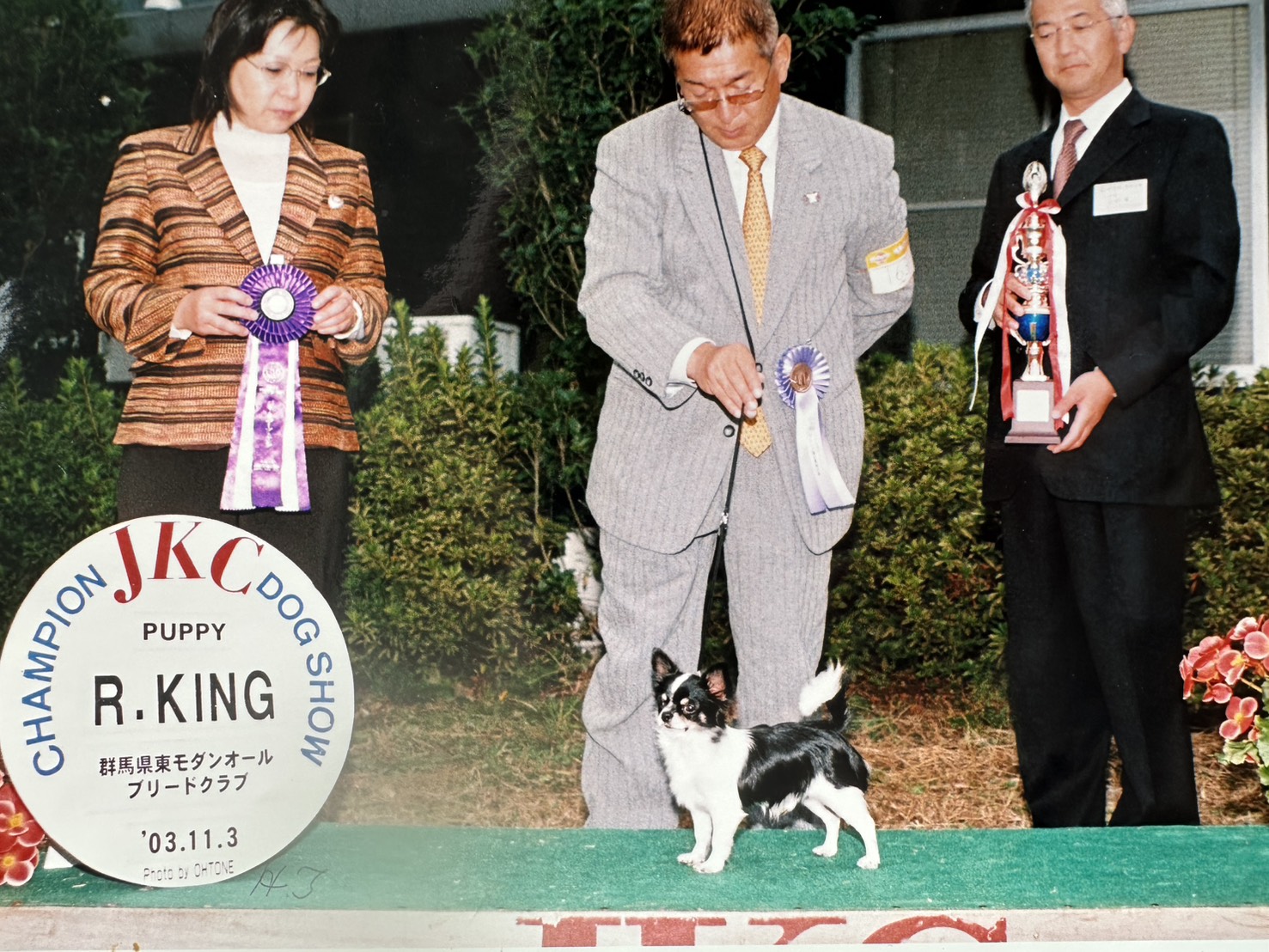 スター犬のドッグショー写真
