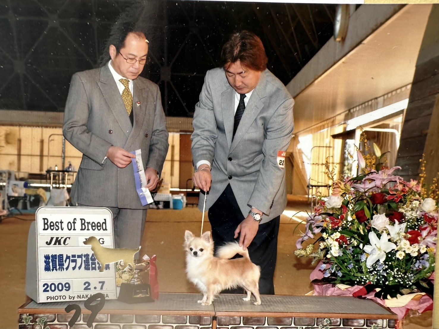 チャンピオン犬の表彰シーン